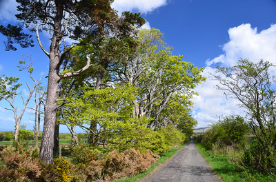 Walk photo