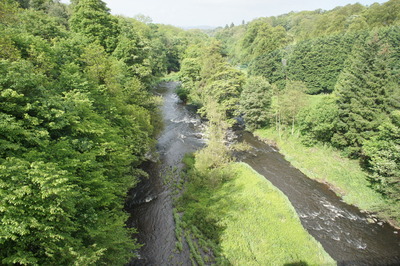 Walk photo