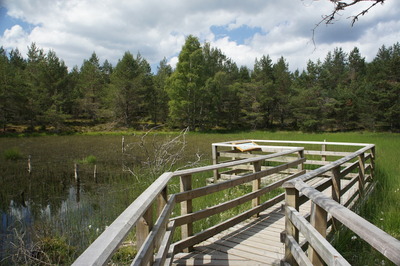 Walk photo