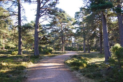 Walk photo