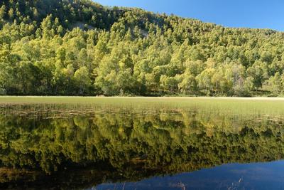 Craigellachie, Aviemore