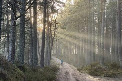 Walk photo
