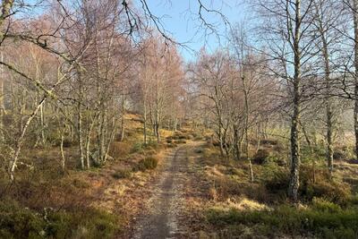 Walk photo