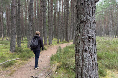 Walk photo
