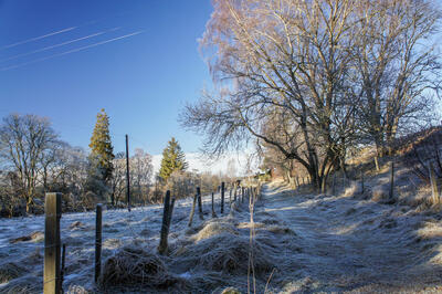 Walk photo