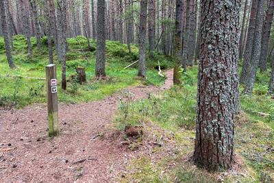 Walk photo
