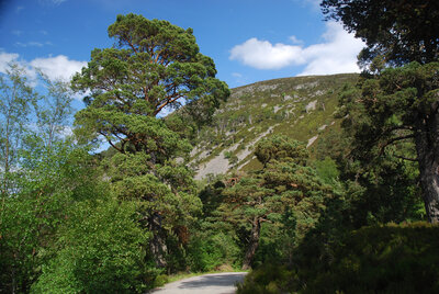 Walk photo