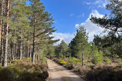 Walk photo