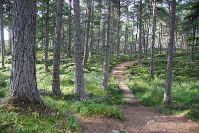 Walk photo
