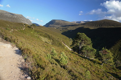 Walk photo