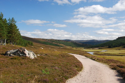 Walk photo