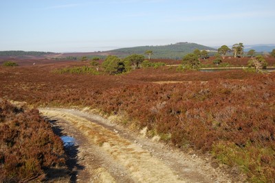 Walk photo