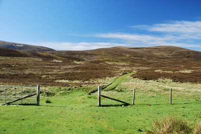 Walk photo