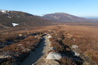 Walk photo