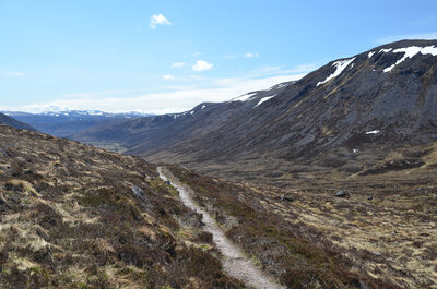 Walk photo