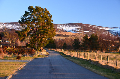 Walk photo