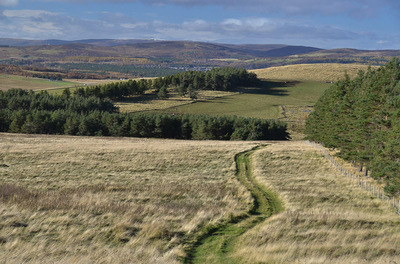 Walk photo