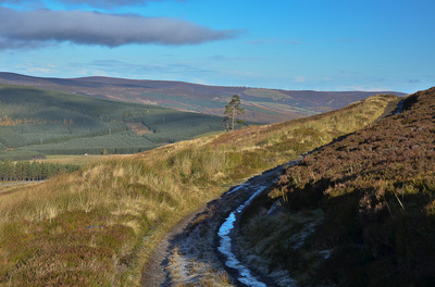 Walk photo