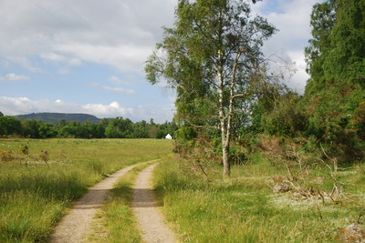 Walk photo
