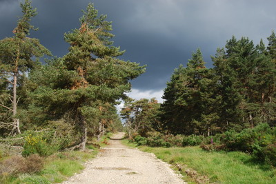 Walk photo