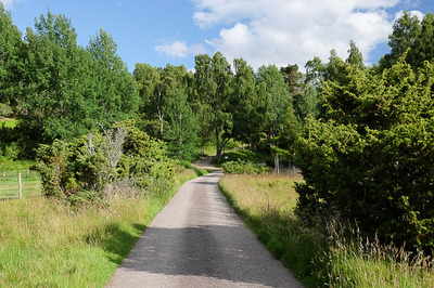 Walk photo