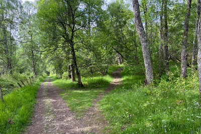 Walk photo