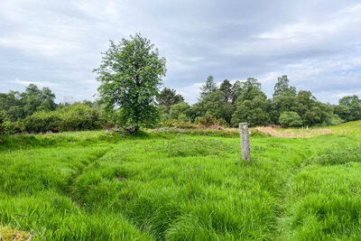 Walk photo