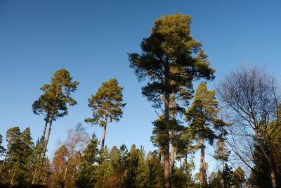Walk photo