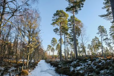 Walk photo