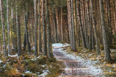 Walk photo