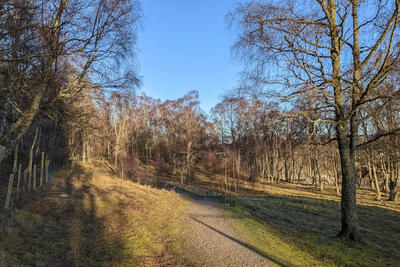 Walk photo