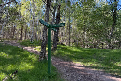 Walk photo