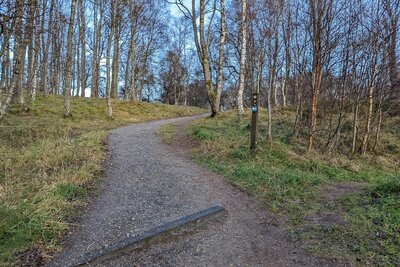 Walk photo