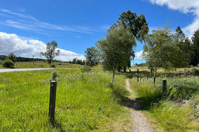 Walk photo