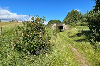 Walk photo