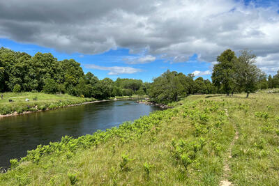 Walk photo