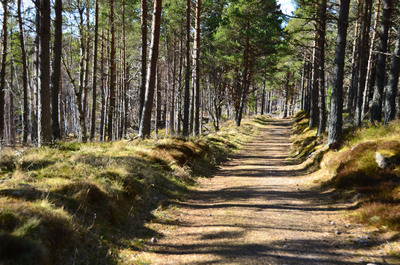 Walk photo
