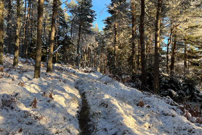 Walk photo