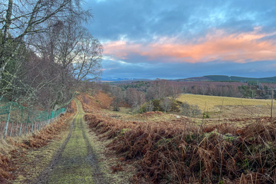 Walk photo