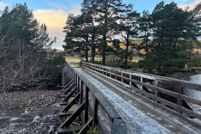 Walk photo