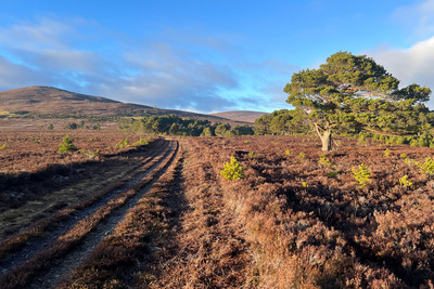 Walk photo