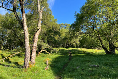 Walk photo