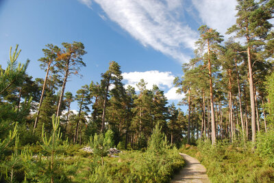Walk photo