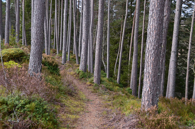 Walk photo