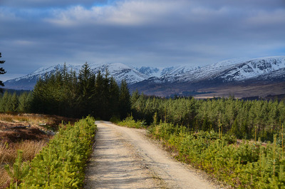 Walk photo