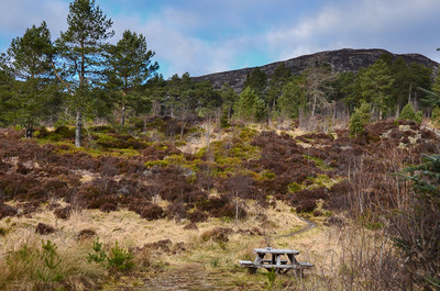 Walk photo