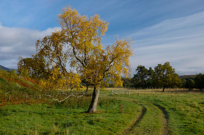 Walk photo