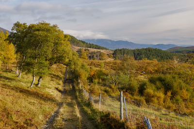 Walk photo