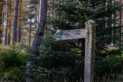 Walk photo