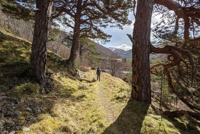 Walk photo